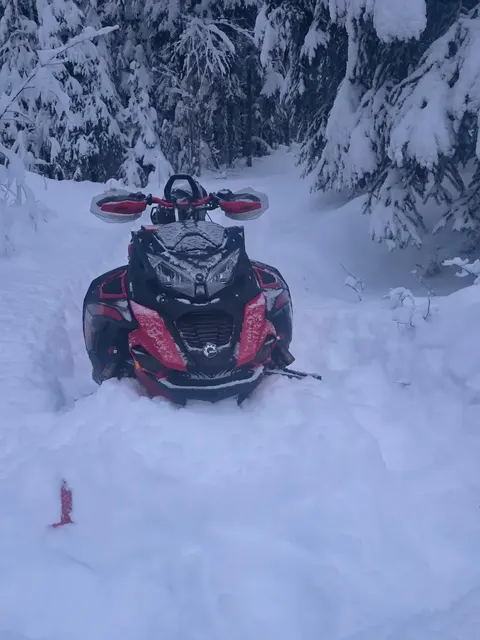 1-Hour Snowmobile Tour