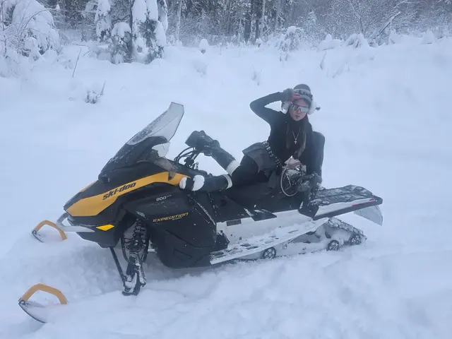 2-Hour Snowmobile Tour
