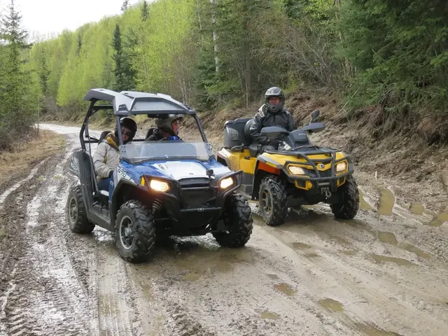Morning Alaska SxS Tour