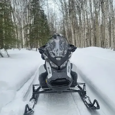 Guests enjoying a winter snowmobile adventure