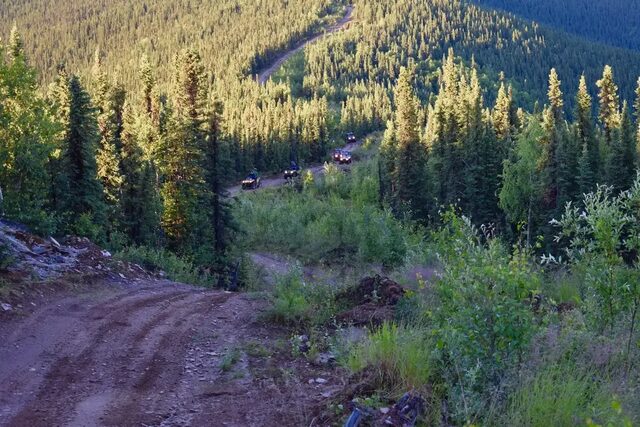Trail through the forest