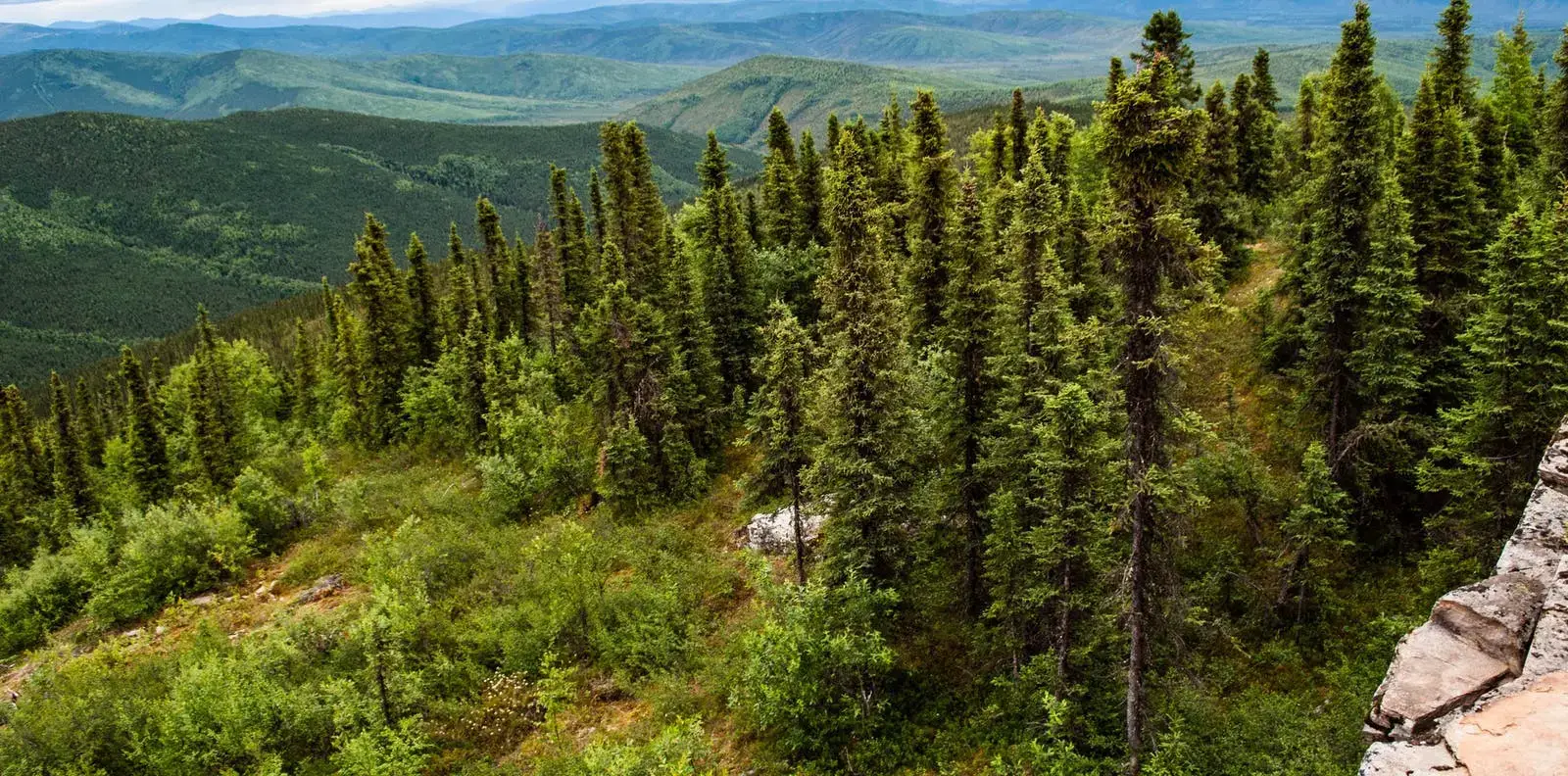 Ridgeline views with autumn foliage